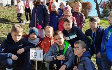 Akcja "Sadzimy Tlen" 2