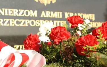 Obchody 11 Listopada - Święta Niepodległości w Gminie Raciechowice - 2021 5