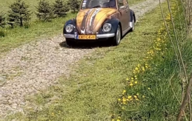 klatka_0001