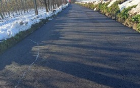 592361506_1274221348079483_1997732392764995592_n