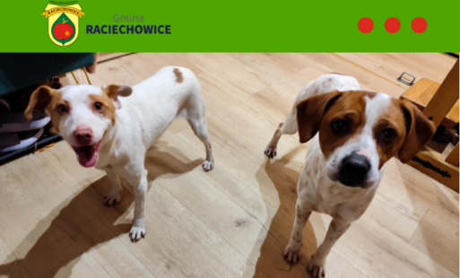 Zdjęcie artykułu z dnia 09-01-2026