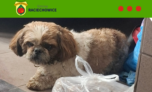 Zdjęcie artykułu z dnia 13-04-2026