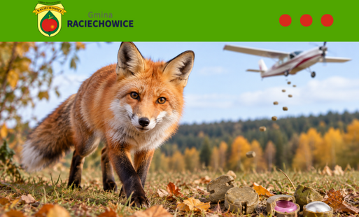 Zdjęcie do Szczepienie lis&oacute;w przeciwko wściekliźnie