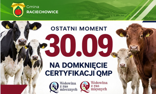 Zdjęcie do Certyfikat QMP &mdash; termin uzyskania upływa 30 września 2026 r.